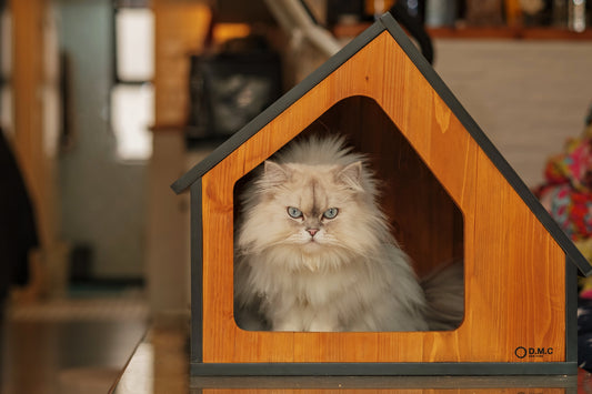 Solid Poplar Hardwood Pet House for Dogs, Cats and More Indoor Pet House and Habitats