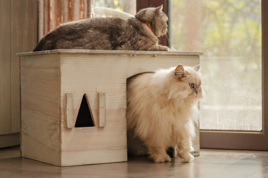 Solid Poplar Hardwood Off White Pet House for Dogs, Cats and More Indoor Pet House and Habitats Flat Top Large Space